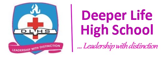 DLHS Logo